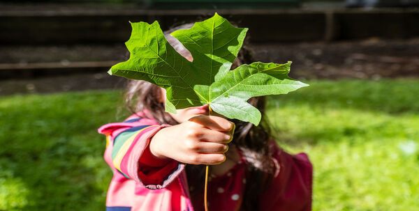 Environment Preservation Campaign